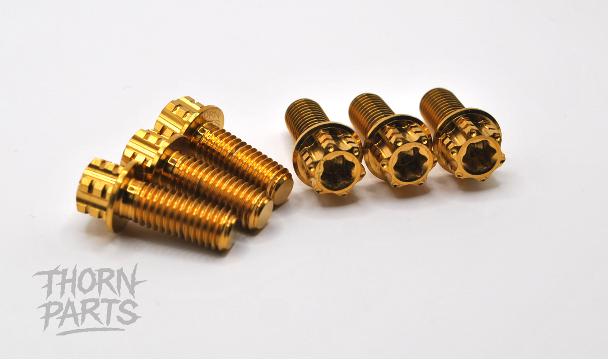 Titanschrauben Motorhalter Set KTM EXC SX Husqvarna TE FC GASGAS ab 2023 Gold