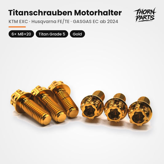Titanschrauben Motorhalter Set KTM EXC SX Husqvarna TE FC GASGAS ab 2023 Gold